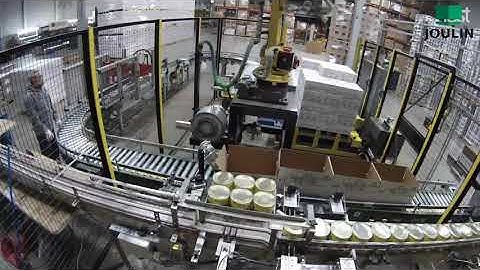 Inboxing cans and palletizing cartons with the same vacuum gripper