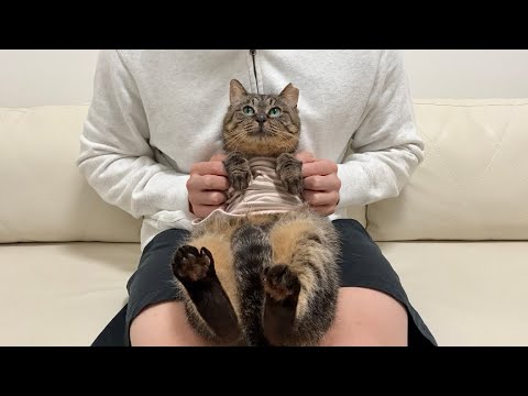 もちまる もちまる日記 公式ホームページ
