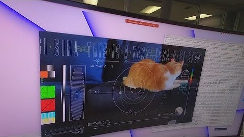 Orange tabby cat named Taters steals the show in first video sent by laser from deep space
