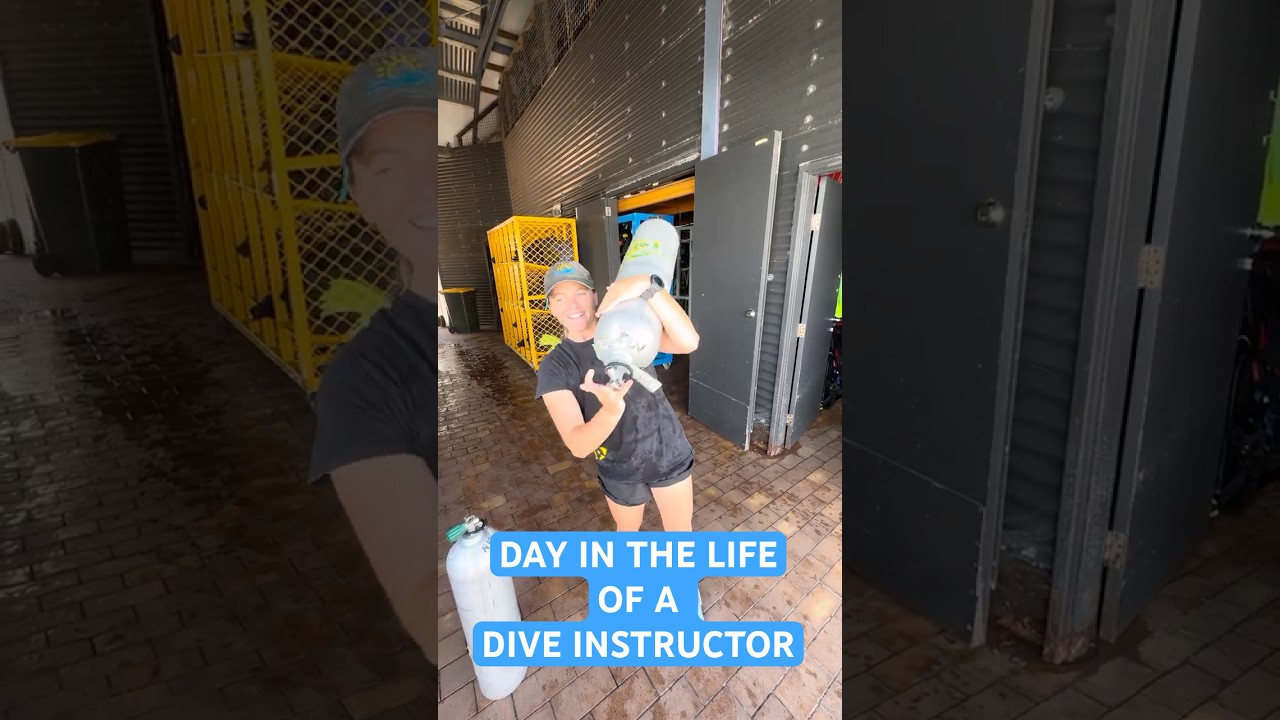 Day In The Life Of A Scuba Diving Instructor