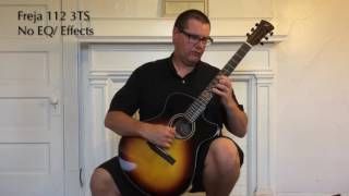 Andrew White Guitars Freja 112 3ts