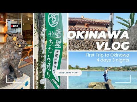 【VLOG】まったり沖縄旅｜一人旅｜沖縄のコアな楽しみ方｜✈️🌮🚘🌊【初投稿】