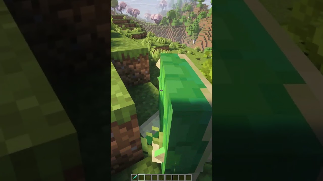 Turtle Physics in Minecraft