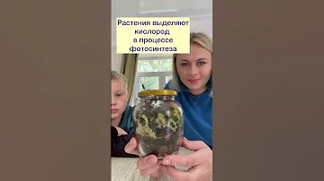 Как создать экосистему в банке