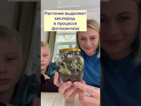 Как создать экосистему в банке