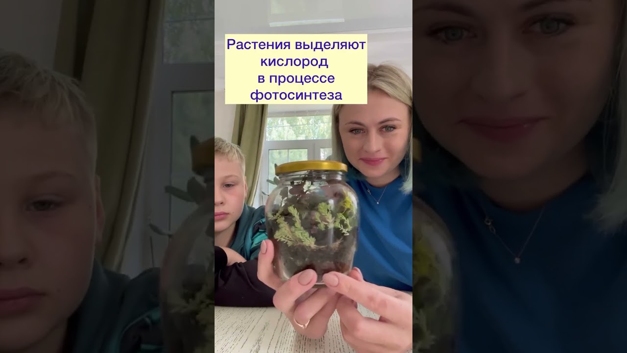 Как создать экосистему в банке