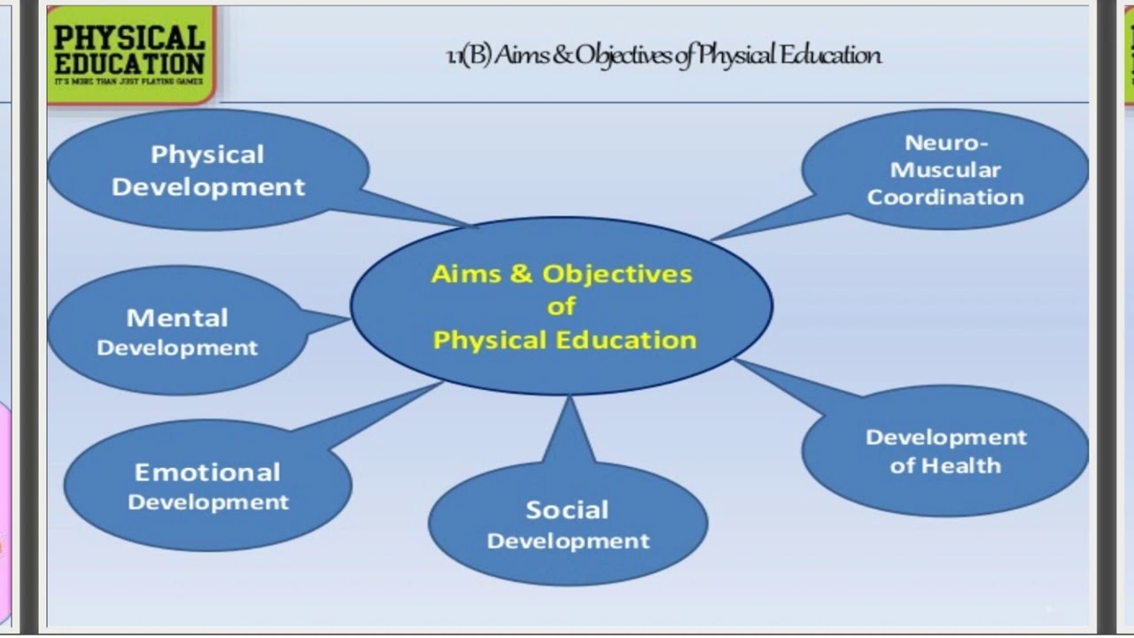 international jobs in physical education