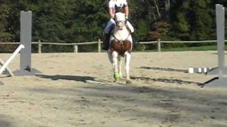 C2 Coursework - Cappy
