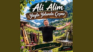 Yayla Yolunda Çeşme