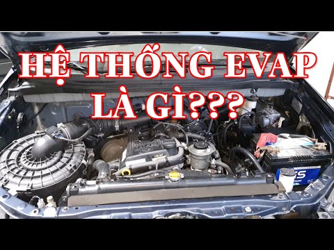 Video: Van thông hơi cácte BMW là gì?