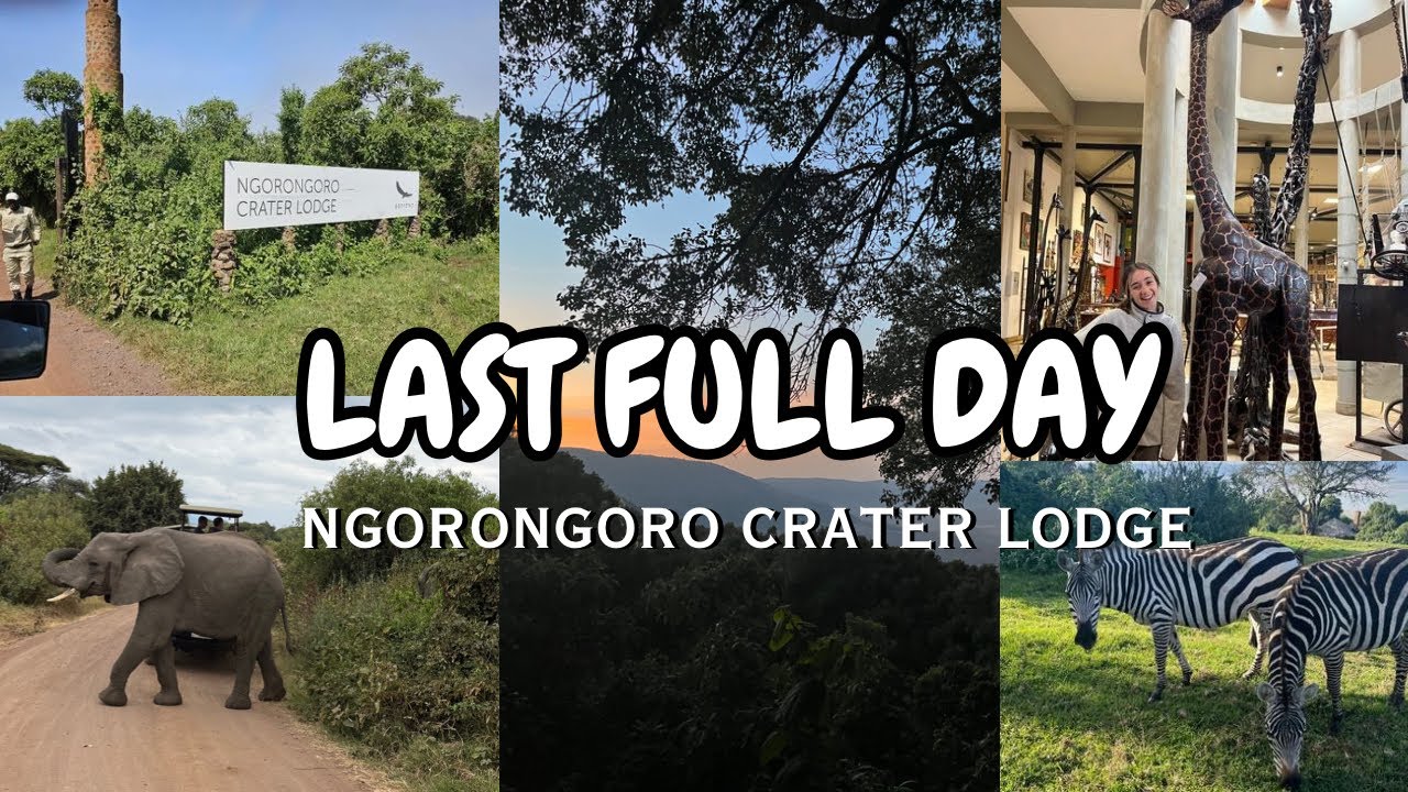 Our last full day in Africa. Ngorongoro Crater Lodge, Safari land, animals + more!
