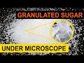 Granulated Sugar Crystals (White Sugar) Magnified Under Microscope