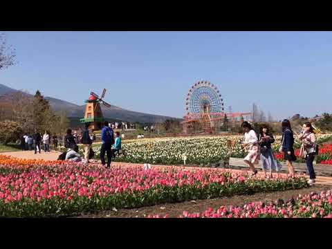 Video: Cov Chaw Ua Si Zoo Tshaj Plaws hauv Hokkaido, Nyiv