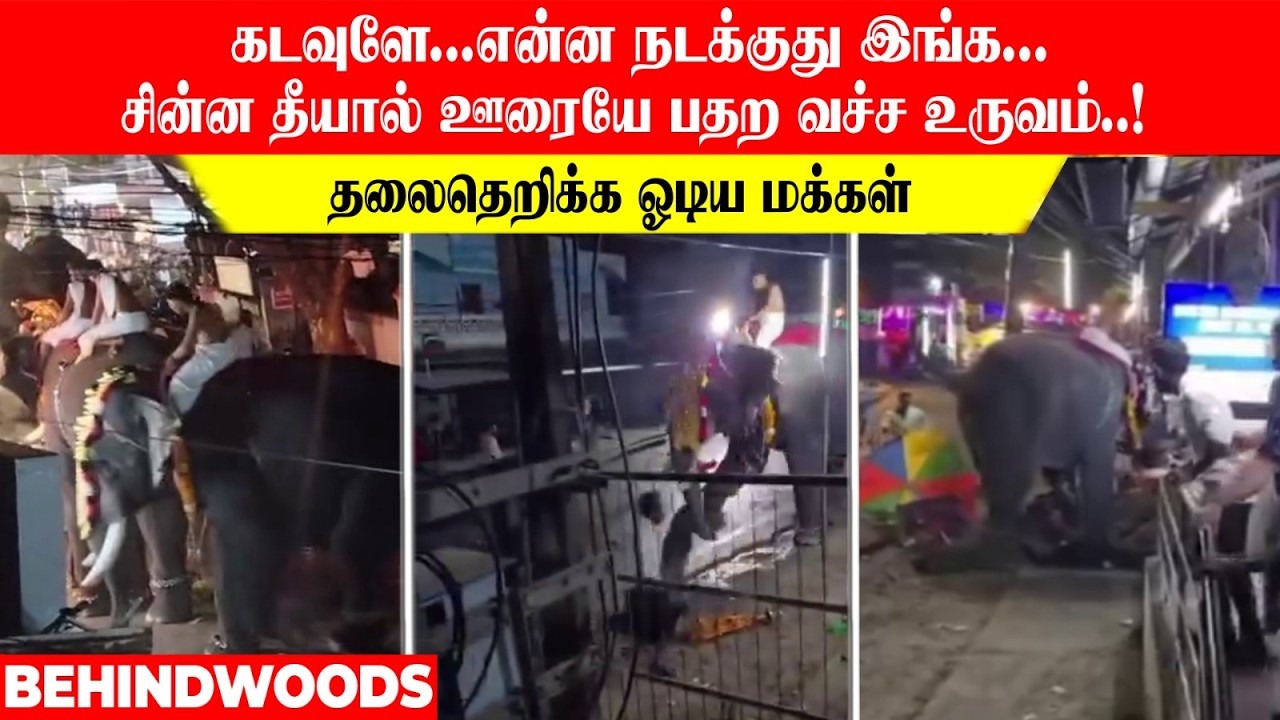 கடவுளே💔 என்ன நடக்குது இங்க...சின்ன தீயால் ஊரையே பதற வச்ச உருவம்..! தலைதெறிக்க ஓடிய மக்கள்