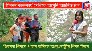 AMAZING ANIMAL GIBBON CELEBRATED GIBBON DAY | ANIMAL PLANET | WILDLIFE REPORT | ASSAM FLASH