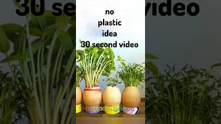 No Plastic Garden 🌱 | Eggshell Pot Idea 🥚 | Grow Plants Naturally #greenlove
