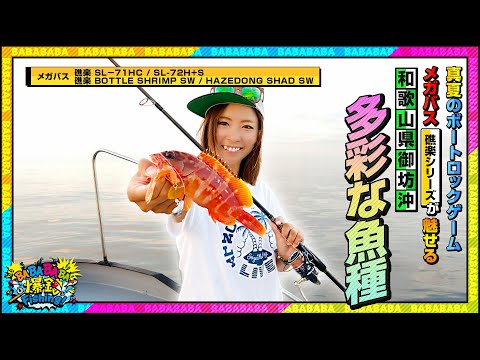 現行モデル　メガバス　SL-礁楽80cxh 礁楽 SL-80XHC | Megabass - メガバス オンラインショップ
