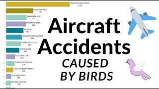 Birds That Have Caused The Most Aircraft Accidents