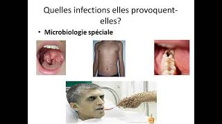 Microflash-le programme de la microbiologie médicale- avec Dr LOUAIL (Partie02)