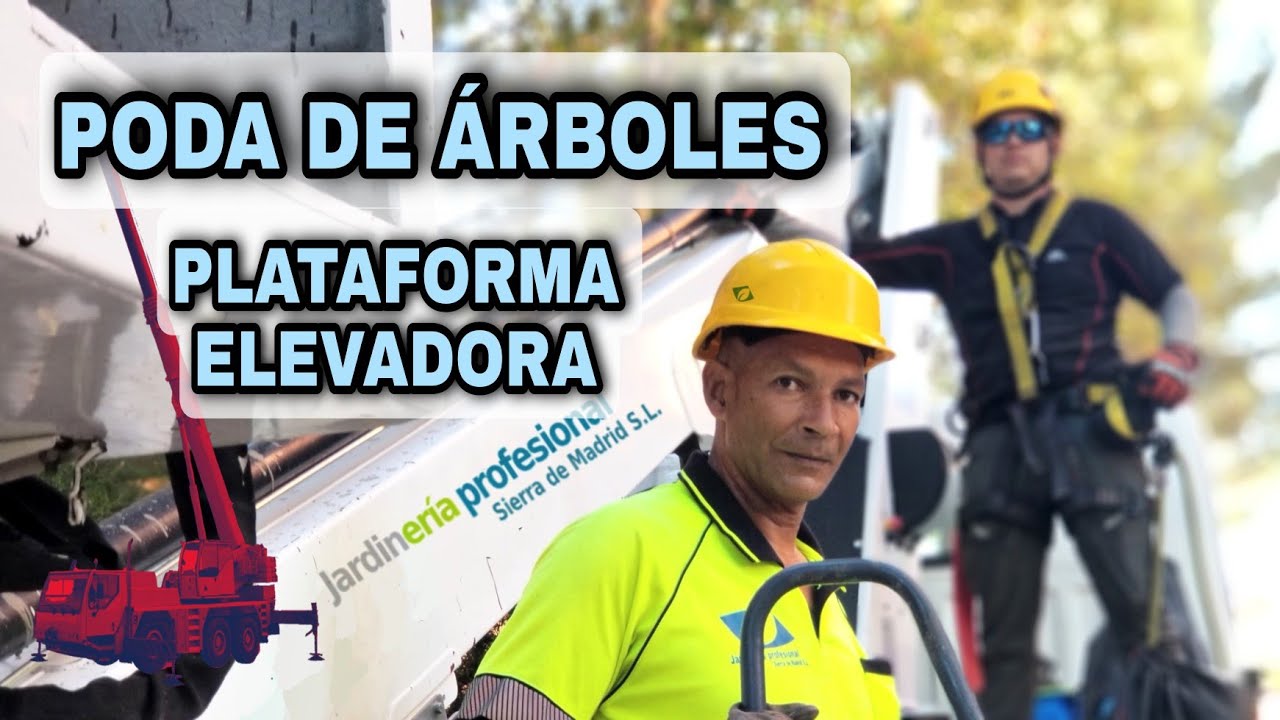 USO👷‍♂️DE PLATAFORMA EN PODA DE ÁRBOLES🌳