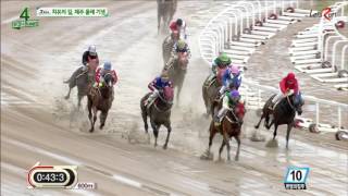 20160828 렛츠런파크 부산경남 4경주 1200m