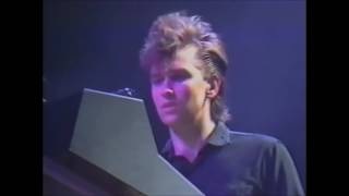 Alan Wilder in Depeche Mode