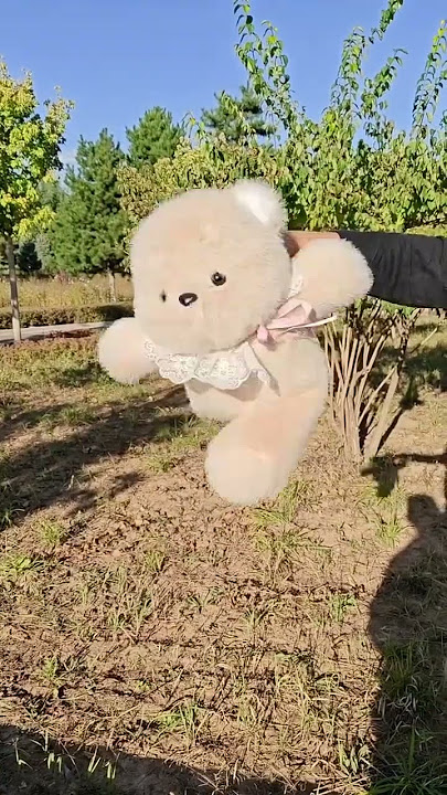 I also received a running bear from a good friend~# I also have a running bear doll# play...