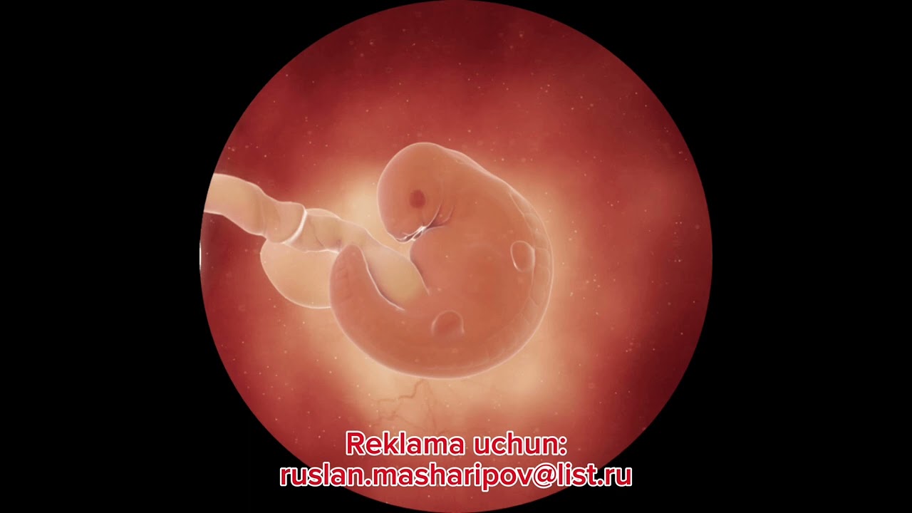 Bir tomondan kokrak fotosuratlari