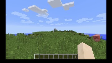 Tardis | Companions flying the TARDIS