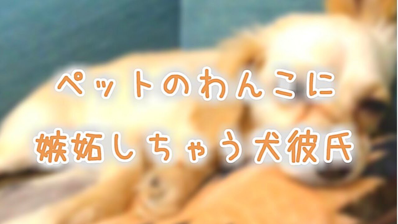 【女性向け】甘え上手なわんこに嫉妬しちゃう犬彼氏《シチュエーションボイス》