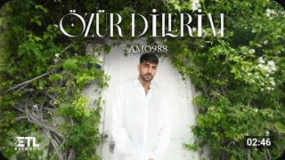 Amo988 - Özür Dilerim