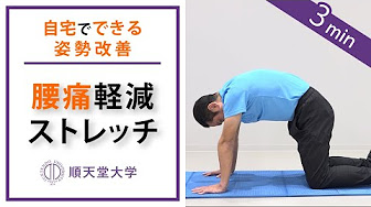 人気のストレッチ動画 Youtube