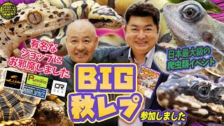 【イベントの裏側】ジャパンレプタイルズショー秋2023in東京をレポートします【BIGレプ】