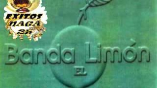 Video thumbnail of "ME LO CONTARON AYER-LA ORIGINAL BANDA EL LIMON---EXITOS NAGA 25.flv"