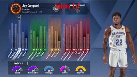 Best Slasher Build You Could Ever Make #NBA2k20 Badges , Animations And Gameplay