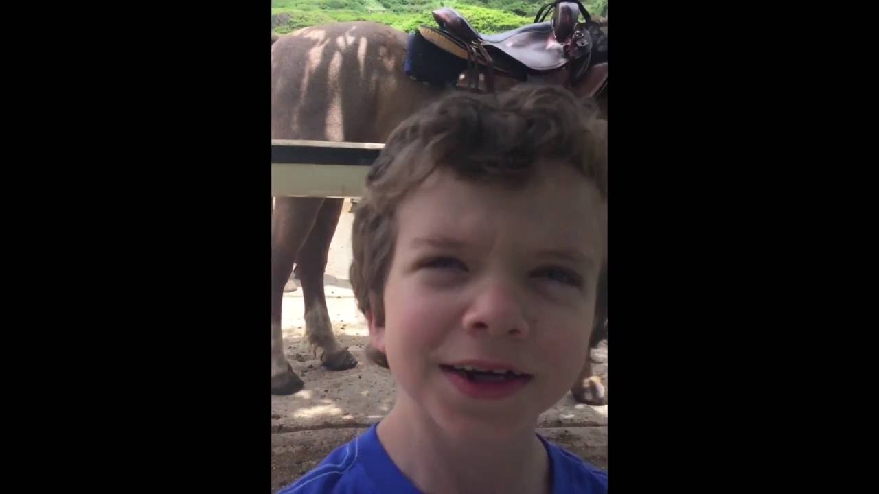 KidLit Book Reviewer, Age 8, Gives Bad News About This Series: Not Enough!