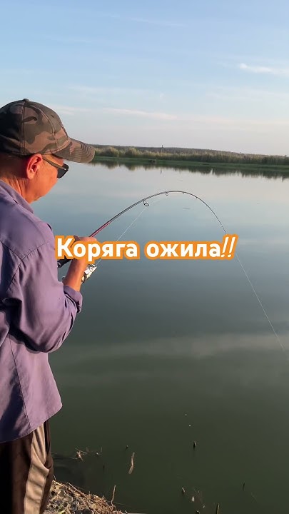 Ніколи не знаєш, коли клюне трофей☝️ #fishing #рыбалкахарьков # ...