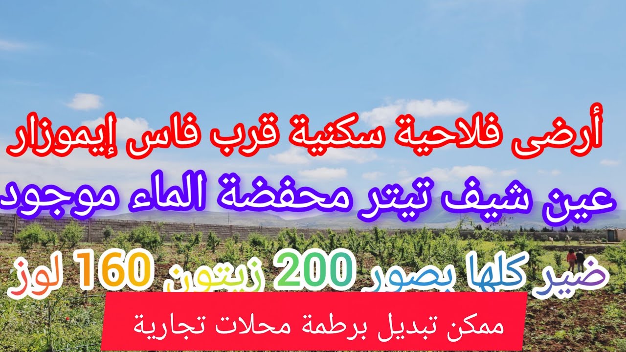 أرضى فلاحية نواحي فاس عين شيف 8000 متر تيتر محفضة ضير كلها بصور 200 زيتون 160 لوز ممكن تبديل برطمة 