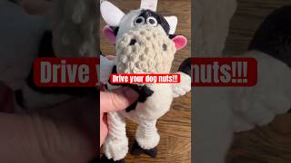 Tested Squeaky Dog Toysthis Was Great