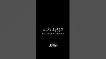 ياسر الدوسري||سورة الكوثر #quran #شاشة_سوداء #قران #شاشة_سوداء_قران_كريم #ياسر_الدوسري #راحة_نفسية