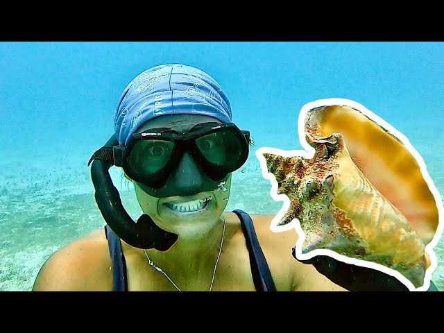 Crazy. Conch. Catch. Clean. Cook. // Liveaboard Sailing Lifestyle