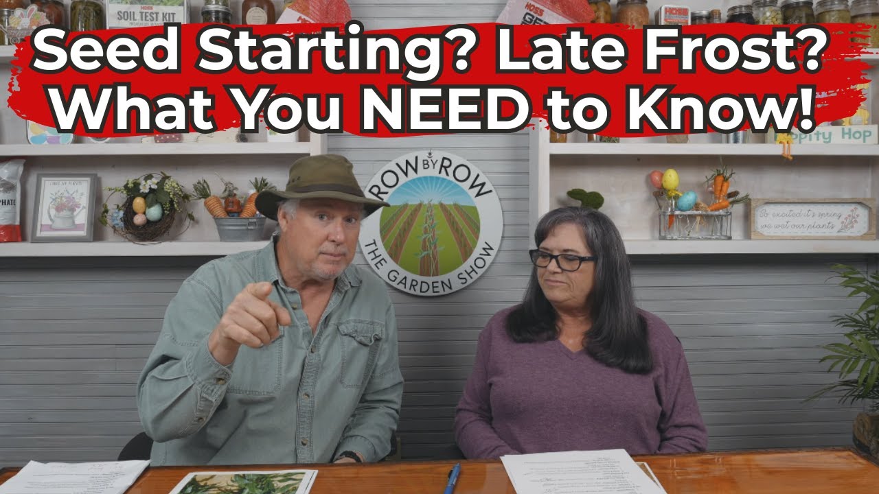 What To Plant Now | March Gardening Tips - YouTube