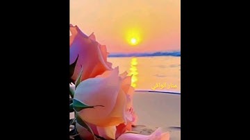 سورة يس الآية 81/82