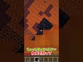 ネザーで村人と戦ってみた！(やらs..)#マイクラ #マインクラフト #minecraft #shorts
