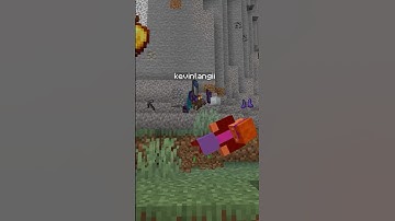 The Truth about Minecraft