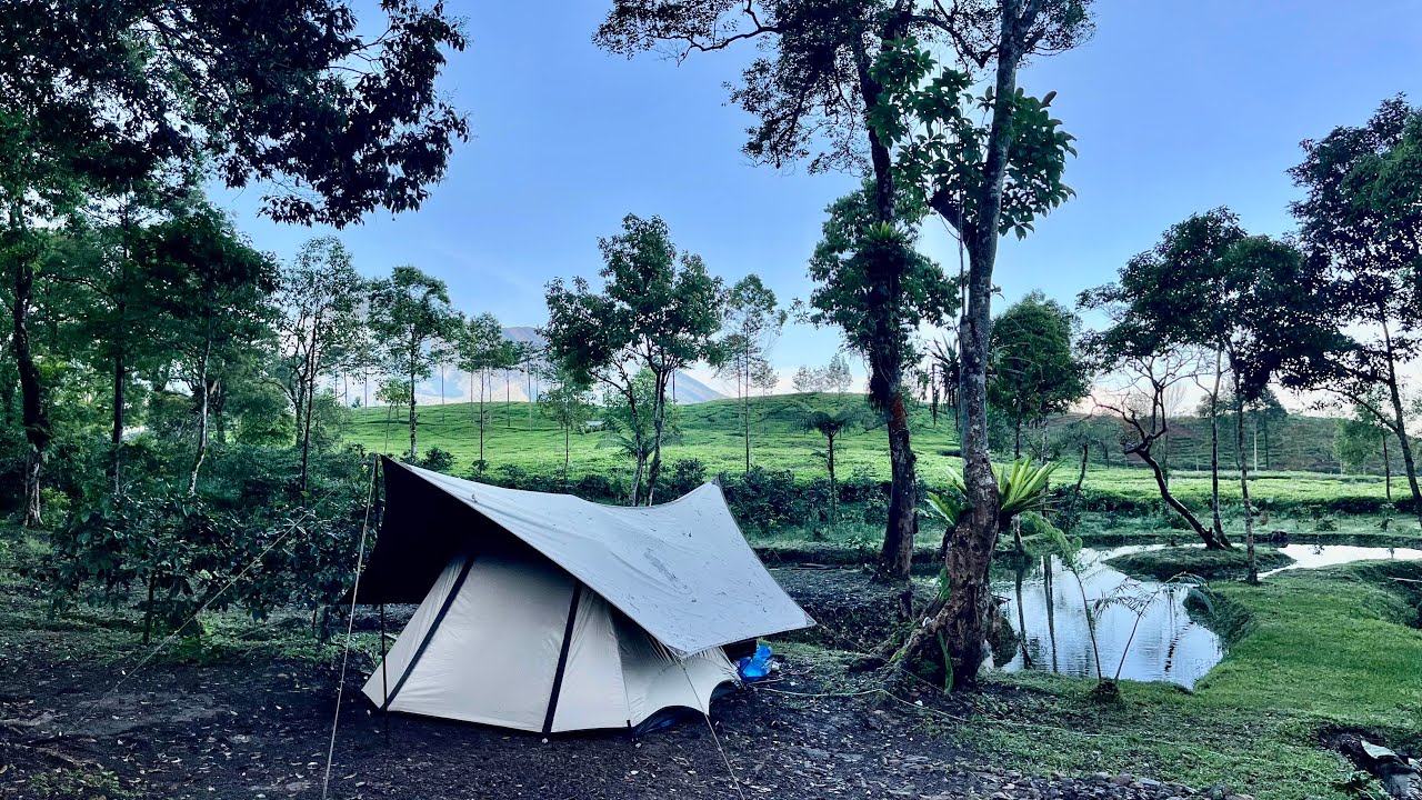 camping diPogayo Camp, Lgs Disuguhi Hamparan Kebun Teh yg Bikin Healing Tambah Betah! #bluetti AC50B