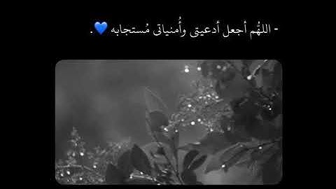 حالات واتس اب قران// الشيخ/ عبد الرحمن مسعد// حالات واتس دينية// تلاوة هادئ ومريحة للقلب💙🎧