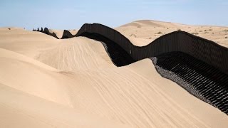 Immigration violations: The one thing to know