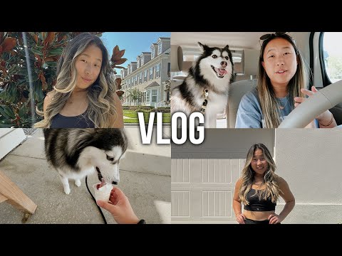 chatty vlog: new