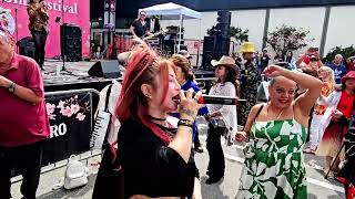 What's Up covered by Night Owls 59th Annual Cherry Blossom Festival  4-18-2026